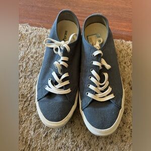 8.5 Navy Canvas Shoes.